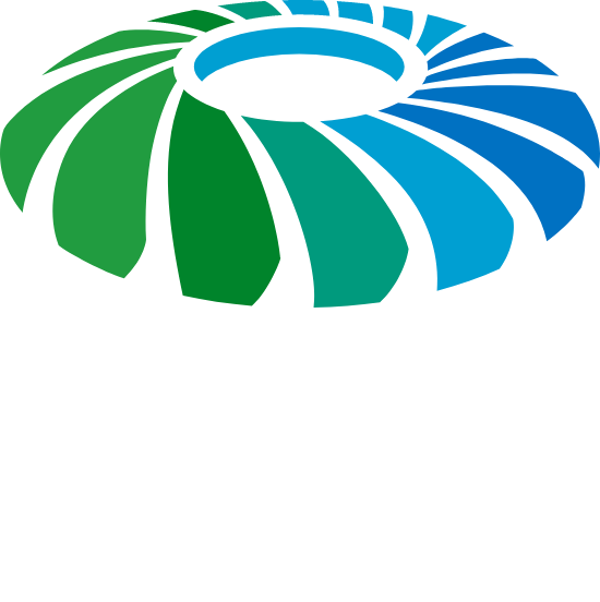 Aramco Stadium